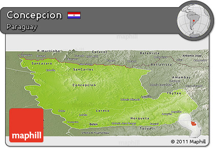 Physical Panoramic Map of Concepcion, semi-desaturated
