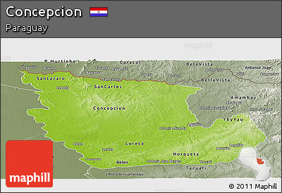 Physical Panoramic Map of Concepcion, semi-desaturated