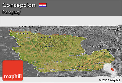 Satellite Panoramic Map of Concepcion, desaturated
