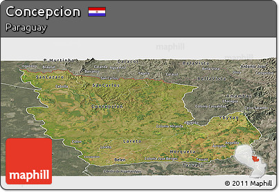 Satellite Panoramic Map of Concepcion, semi-desaturated