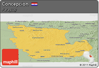 Savanna Style Panoramic Map of Concepcion