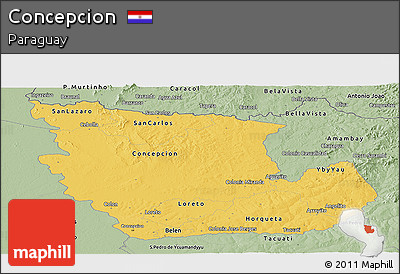 Savanna Style Panoramic Map of Concepcion