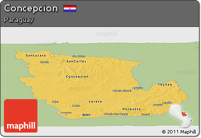 Savanna Style Panoramic Map of Concepcion, single color outside