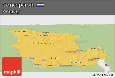 Savanna Style Panoramic Map of Concepcion, single color outside