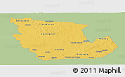Savanna Style Panoramic Map of Concepcion, single color outside