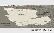 Shaded Relief Panoramic Map of Concepcion, darken