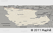 Shaded Relief Panoramic Map of Concepcion, darken, semi-desaturated