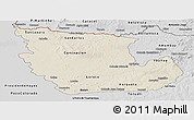 Shaded Relief Panoramic Map of Concepcion, desaturated