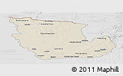 Shaded Relief Panoramic Map of Concepcion, lighten, desaturated