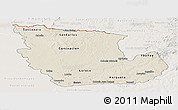Shaded Relief Panoramic Map of Concepcion, lighten