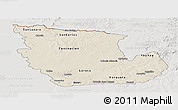 Shaded Relief Panoramic Map of Concepcion, lighten, semi-desaturated