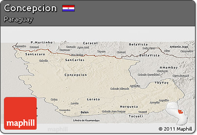 Shaded Relief Panoramic Map of Concepcion, semi-desaturated