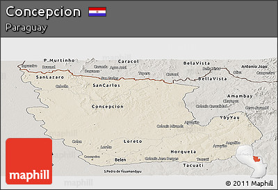 Shaded Relief Panoramic Map of Concepcion, semi-desaturated