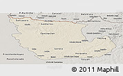 Shaded Relief Panoramic Map of Concepcion, semi-desaturated