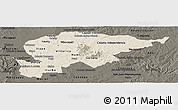 Shaded Relief Panoramic Map of Guaira, darken