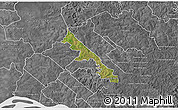 Satellite 3D Map of Hohenau, desaturated
