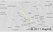 Shaded Relief 3D Map of Hohenau, desaturated
