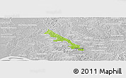 Physical Panoramic Map of Hohenau, lighten, desaturated
