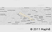 Shaded Relief Panoramic Map of Hohenau, desaturated