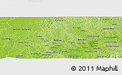 Physical Panoramic Map of Obligado