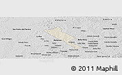 Shaded Relief Panoramic Map of Obligado, desaturated