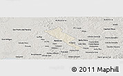 Shaded Relief Panoramic Map of Obligado, semi-desaturated