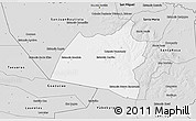 Silver Style 3D Map of San Ignacio