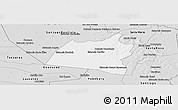 Silver Style Panoramic Map of San Ignacio