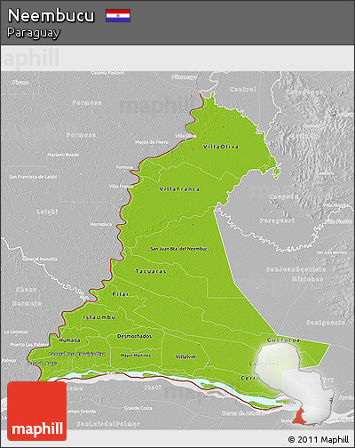 Physical 3D Map of Neembucu, lighten, desaturated