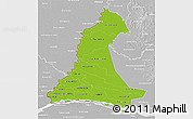 Physical 3D Map of Neembucu, lighten, desaturated