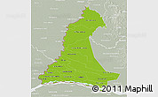 Physical 3D Map of Neembucu, lighten, semi-desaturated