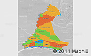 Political 3D Map of Neembucu, lighten, desaturated