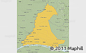 Savanna Style 3D Map of Neembucu