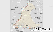 Shaded Relief 3D Map of Neembucu, desaturated
