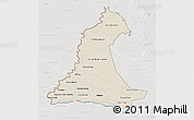 Shaded Relief 3D Map of Neembucu, lighten, semi-desaturated