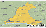 Savanna Style Panoramic Map of Neembucu