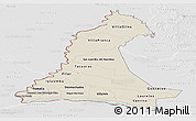 Shaded Relief Panoramic Map of Neembucu, lighten, desaturated