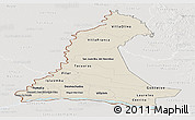 Shaded Relief Panoramic Map of Neembucu, lighten, semi-desaturated