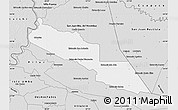 Silver Style Map of Tacuaras