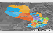 Political Panoramic Map of Paraguay, darken, desaturated