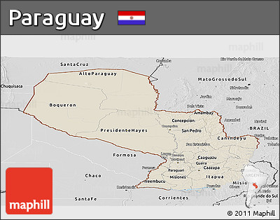 Shaded Relief Panoramic Map of Paraguay, desaturated