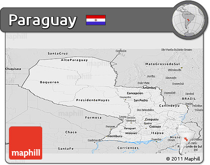 Silver Style Panoramic Map of Paraguay