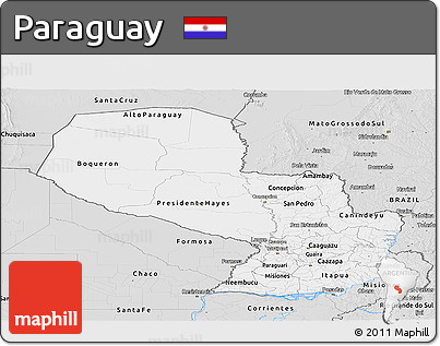 Silver Style Panoramic Map of Paraguay