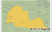 Savanna Style 3D Map of Pozo Colorado