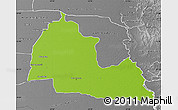 Physical Map of Pozo Colorado, desaturated