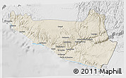 Shaded Relief 3D Map of Islay, lighten, desaturated