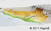 Physical Panoramic Map of Islay, lighten, semi-desaturated