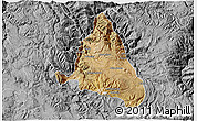 Satellite 3D Map of nn, desaturated