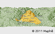Savanna Style Panoramic Map of nn