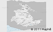Gray Panoramic Map of Ayacucho, single color outside
